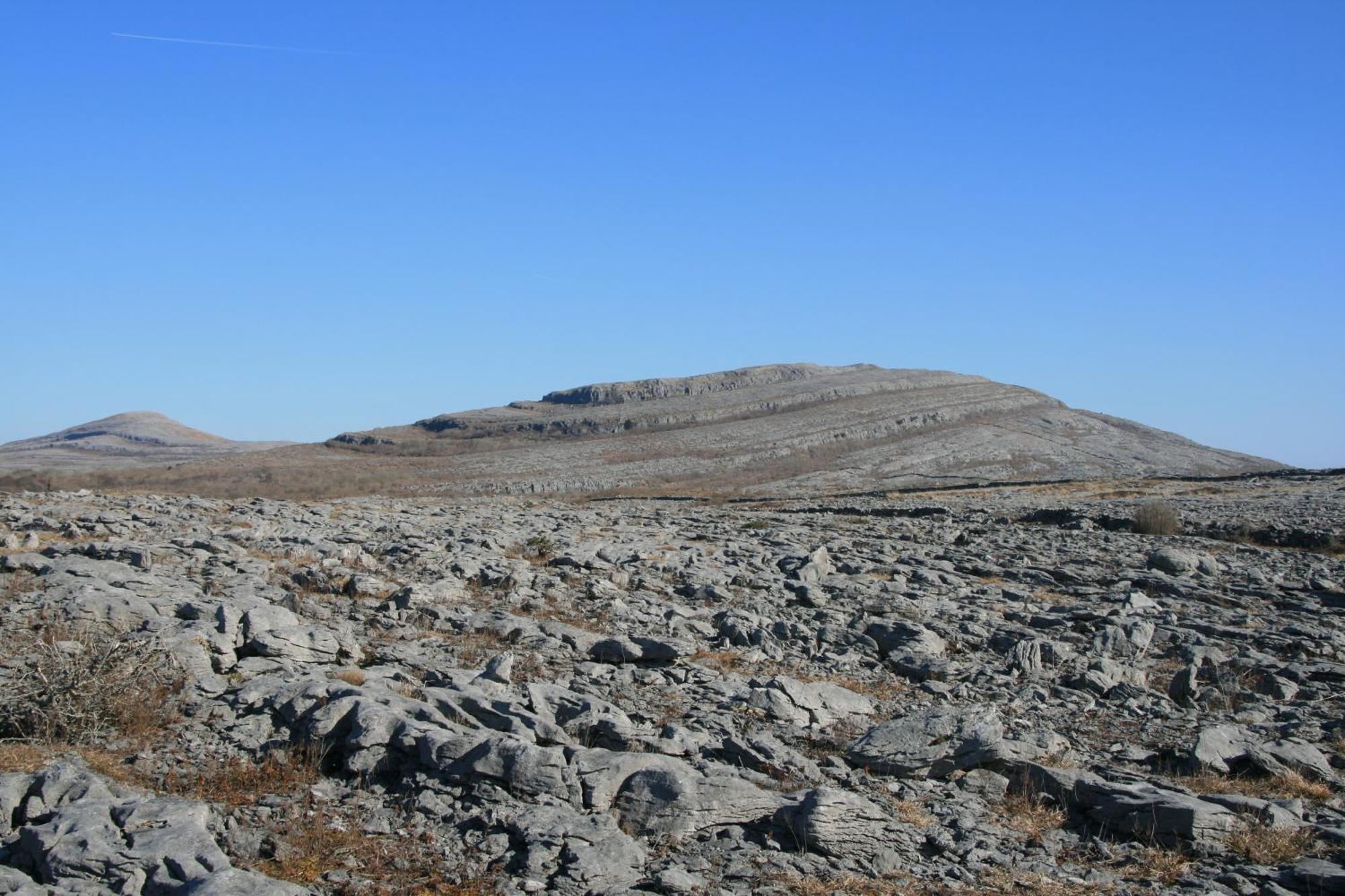 Inchiquin House, Period Home In The Heart Of The Burren Corrofin エクステリア 写真